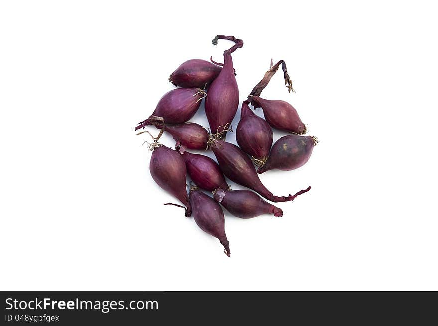 Red onions for seeding on white background