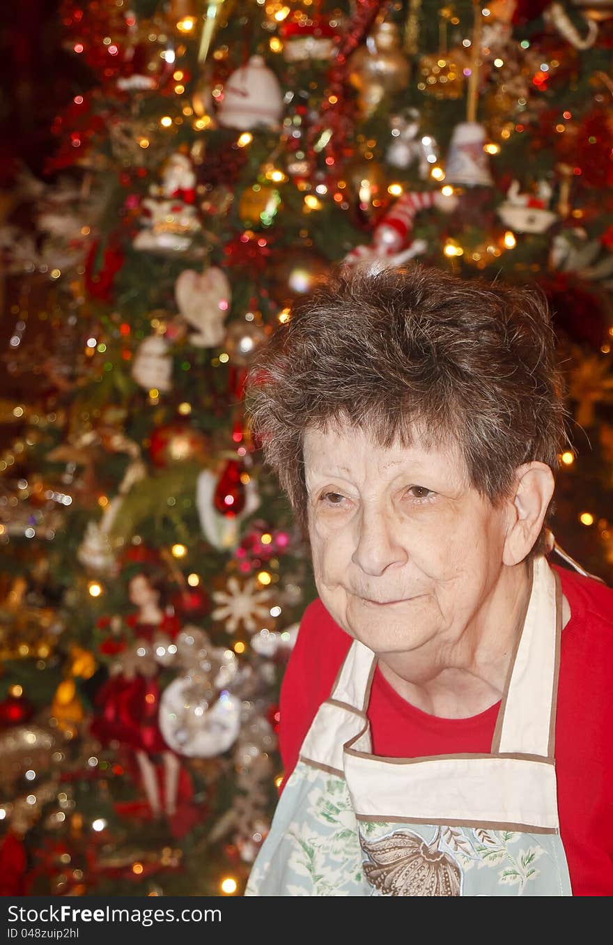 Grandmother At Christmas