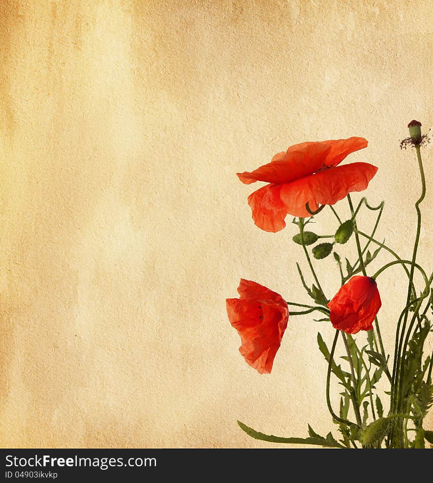 Paper texture with red poppies. Paper texture with red poppies