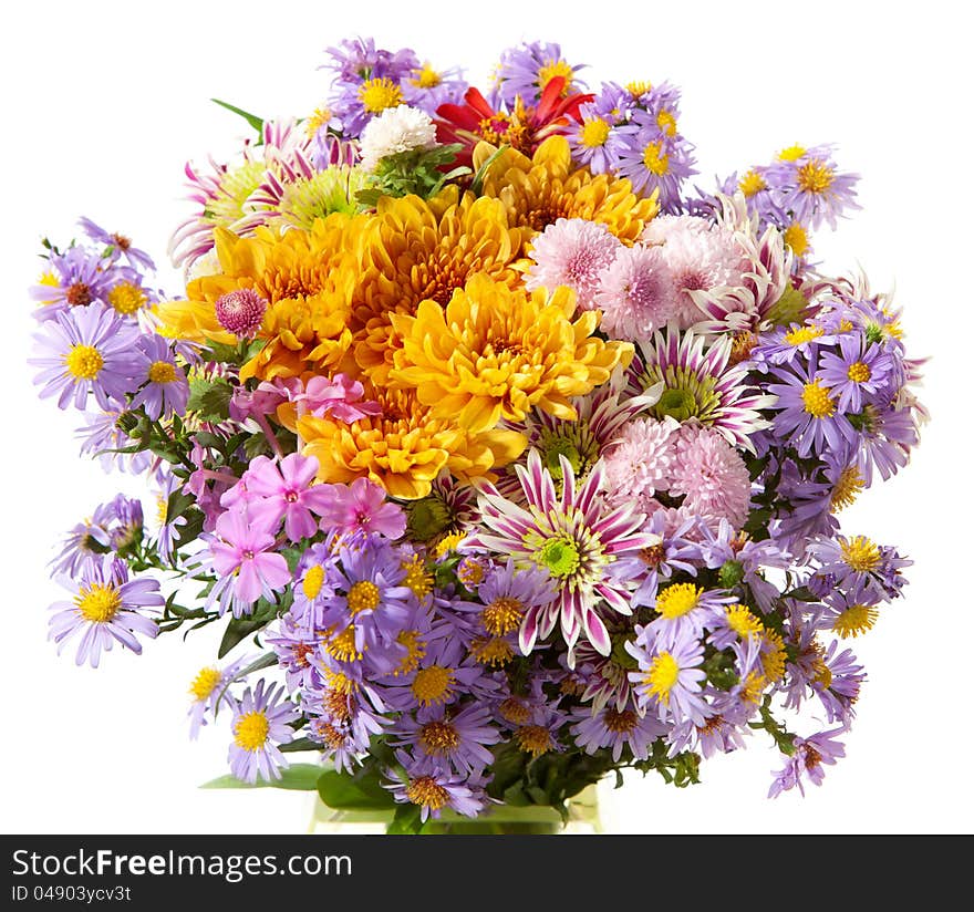 Colourful chrysanthemums bunch on a white background. Colourful chrysanthemums bunch on a white background