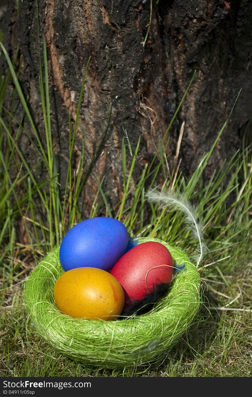 Dyed Domestic Easter eggs in a nest, on the grass