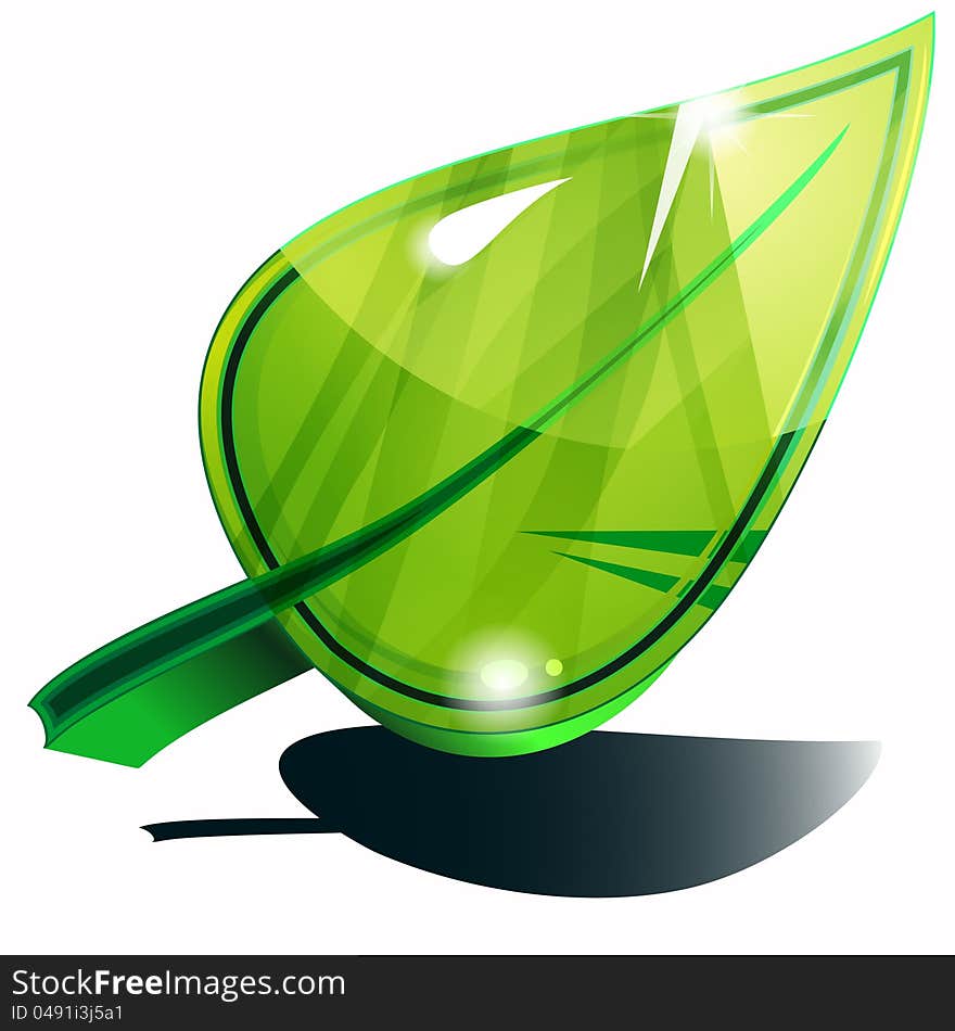 Big green glossy leaf with dark shadow. Big green glossy leaf with dark shadow