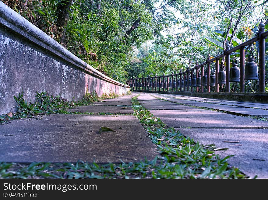 Walkway bell doi tung chiangrai thailand