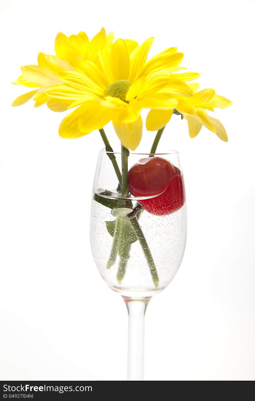 A glass, cherry and yellow flowers on a white background. Flowers in the water.