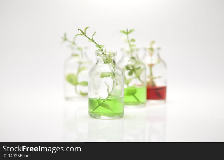 A bottle with a green branch on a gray background. The background blurred.