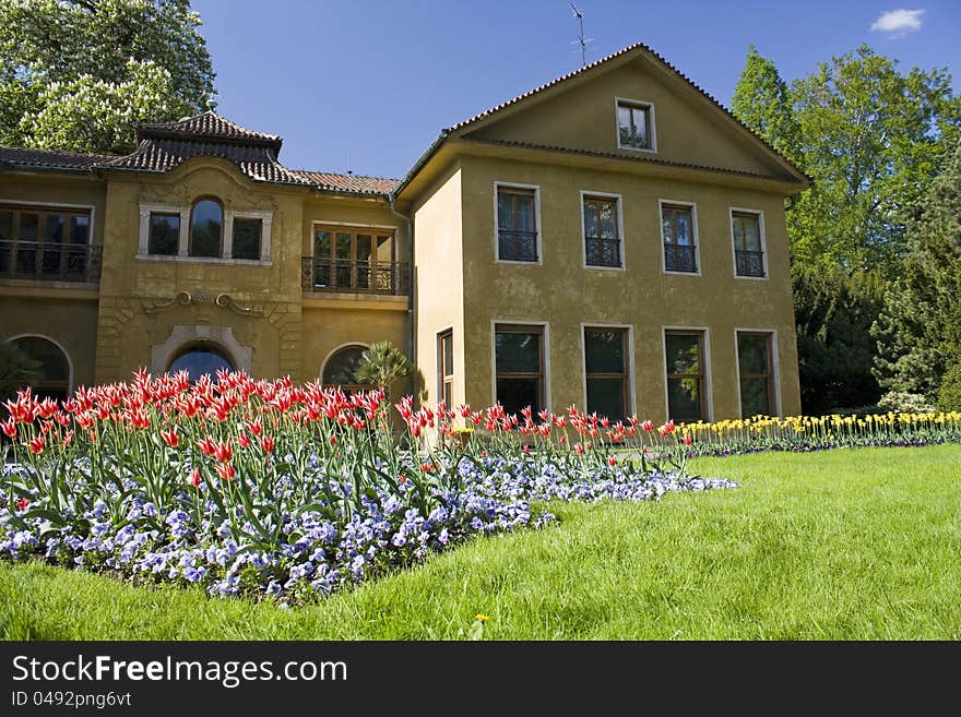 Czech presidents house is a bed of tulips in front of him. Czech presidents house is a bed of tulips in front of him