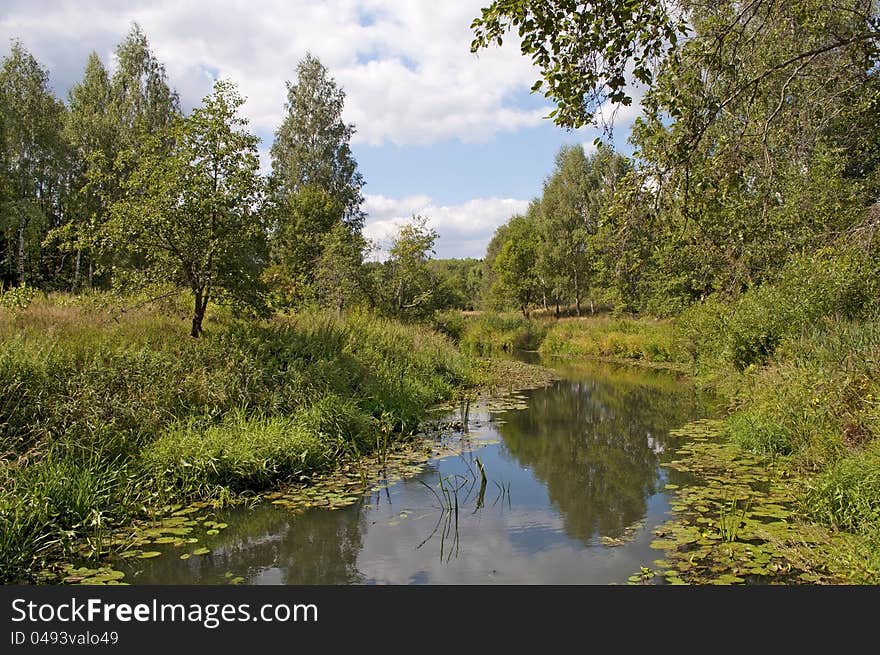 Small quiet river in forest, summer time