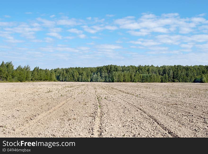 Arable land at forest background, sunny summer day. Arable land at forest background, sunny summer day