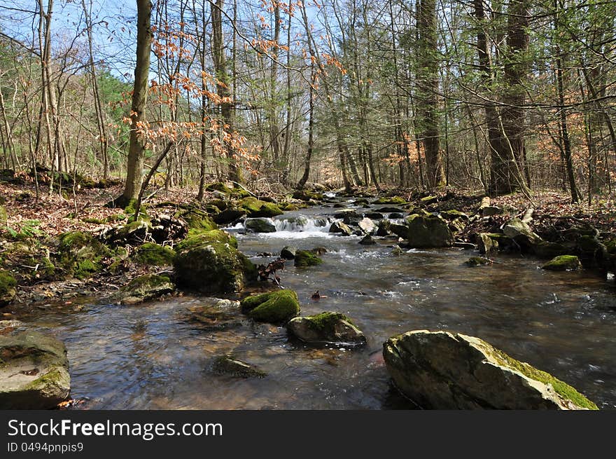 Mountain Stream