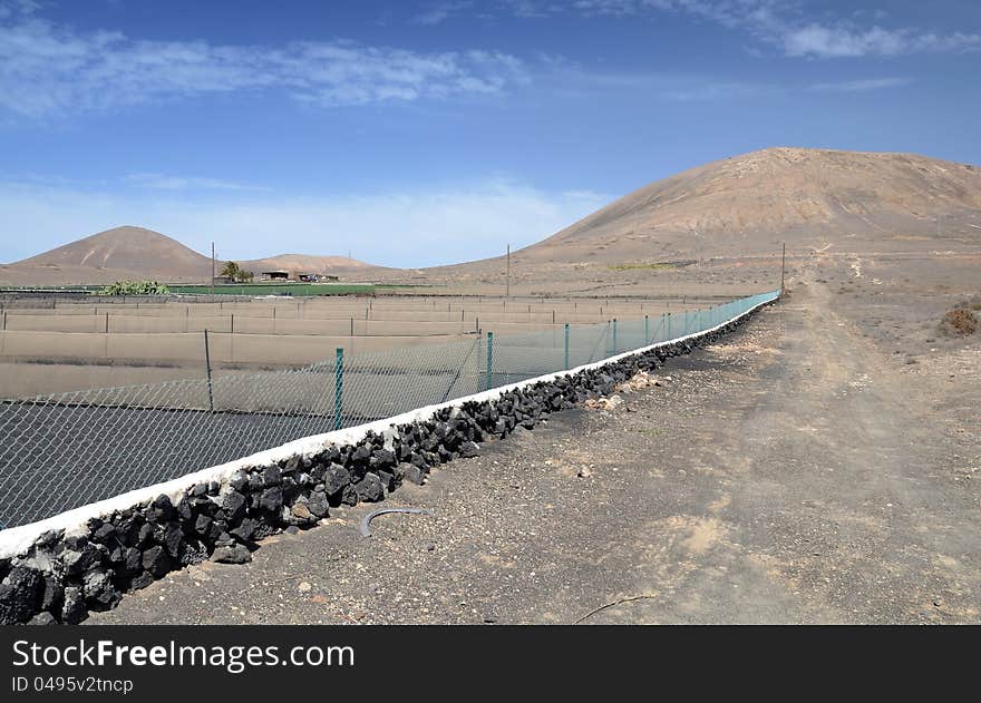 Side view for agricultural field with volcano mountains. Side view for agricultural field with volcano mountains