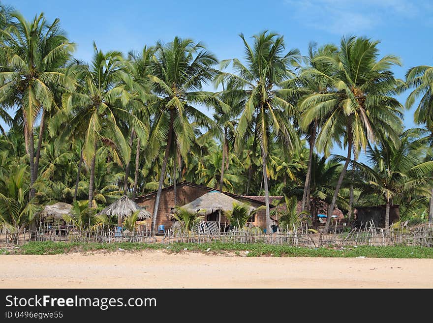 View of  beach, summer houses and palm trees