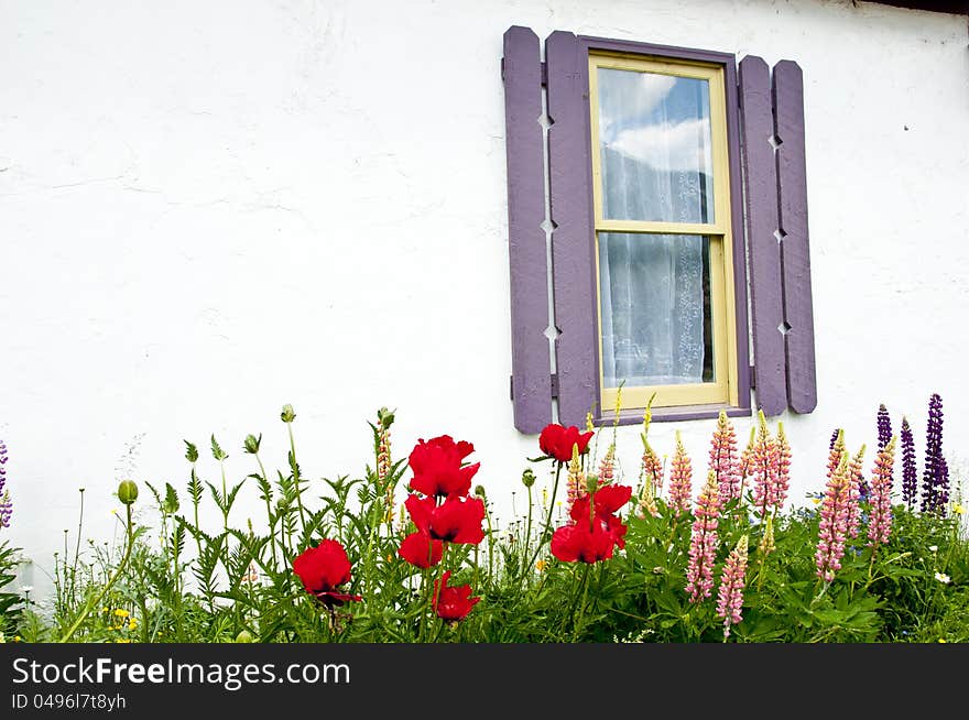 Little white stucco cottage framed with flowers