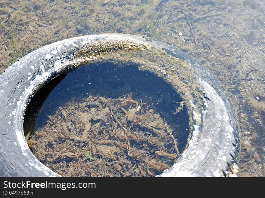 Old tire on the water