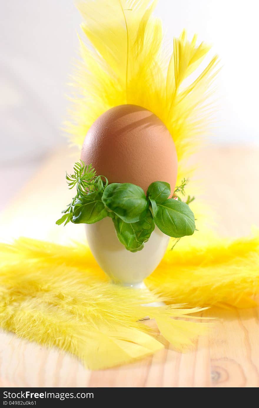 Egg in eggcup on the wooden desk, decorated with yellow feathers