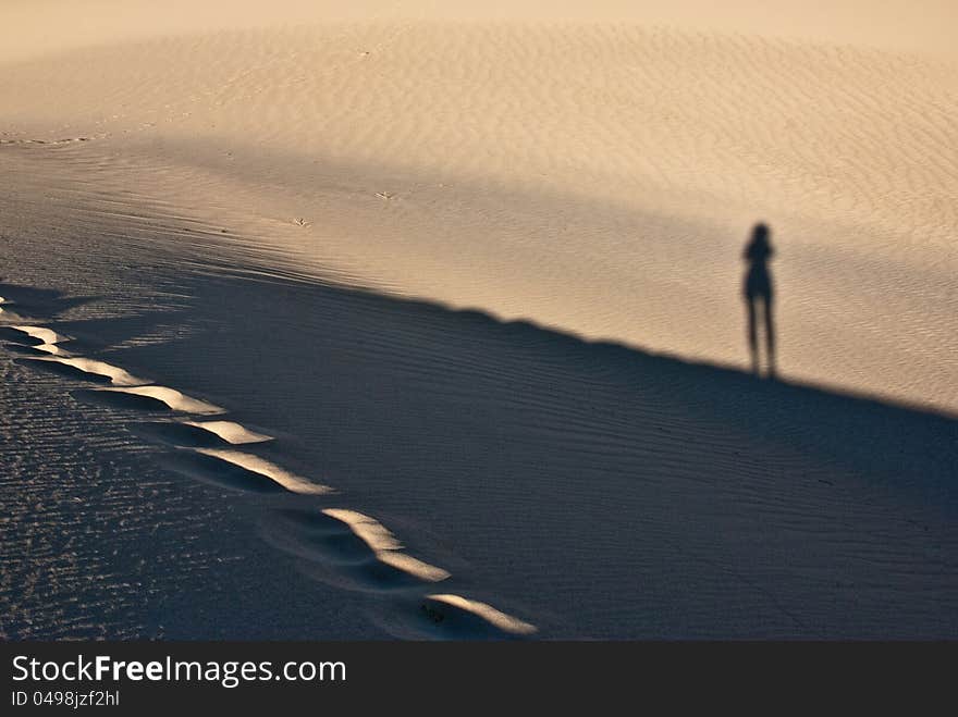 Desert Shadow Play