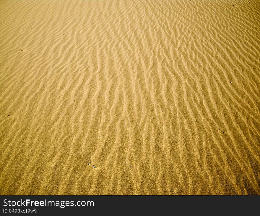 Glowing sand ripples at Death Valley. Glowing sand ripples at Death Valley