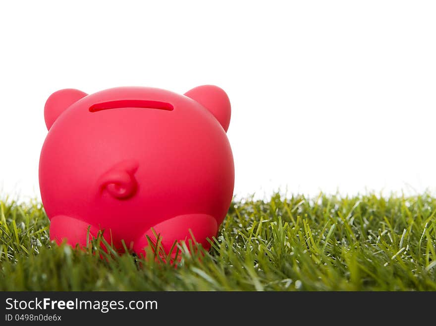 Piggy bank on grass