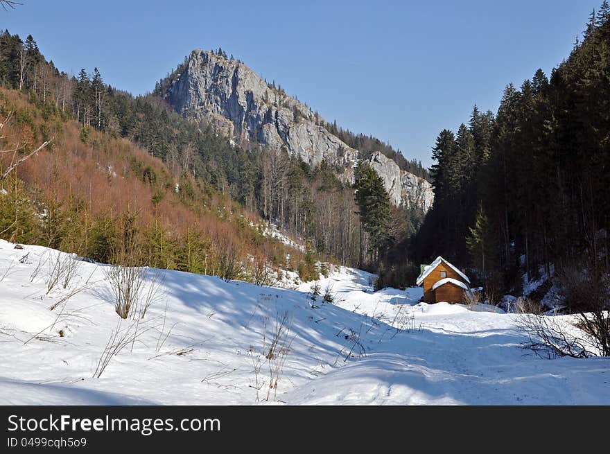 Winter in the Carpathians