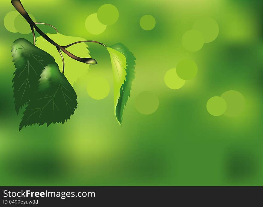 Birch branch on a green background. Vector image