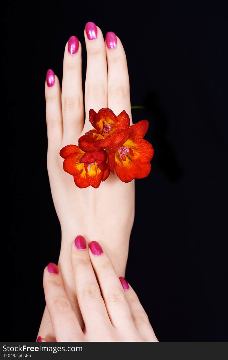 Hands And A Flower On Black