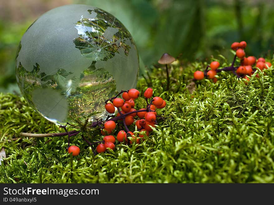 Crystal-clear globe on green moss with red berries