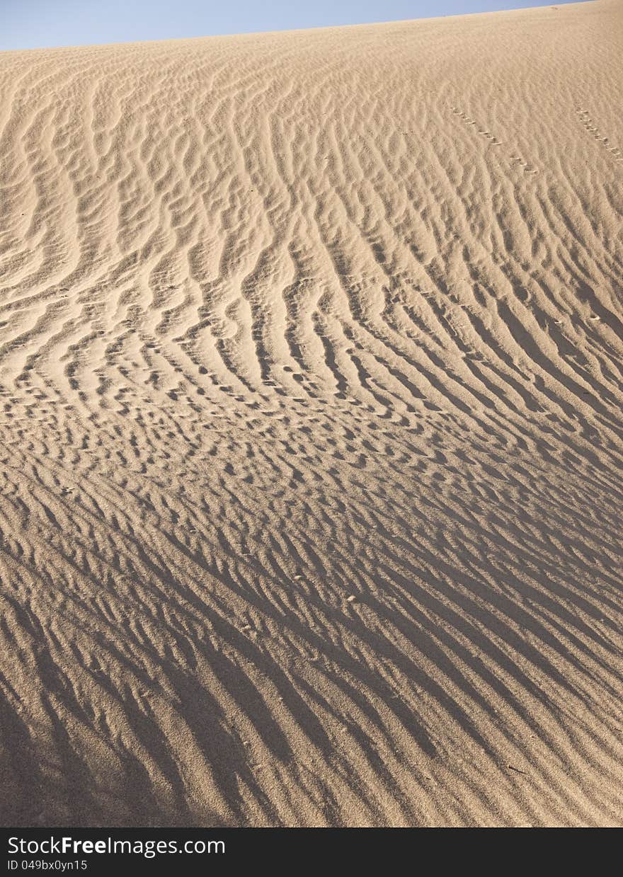 Death Valley Sand Ripples