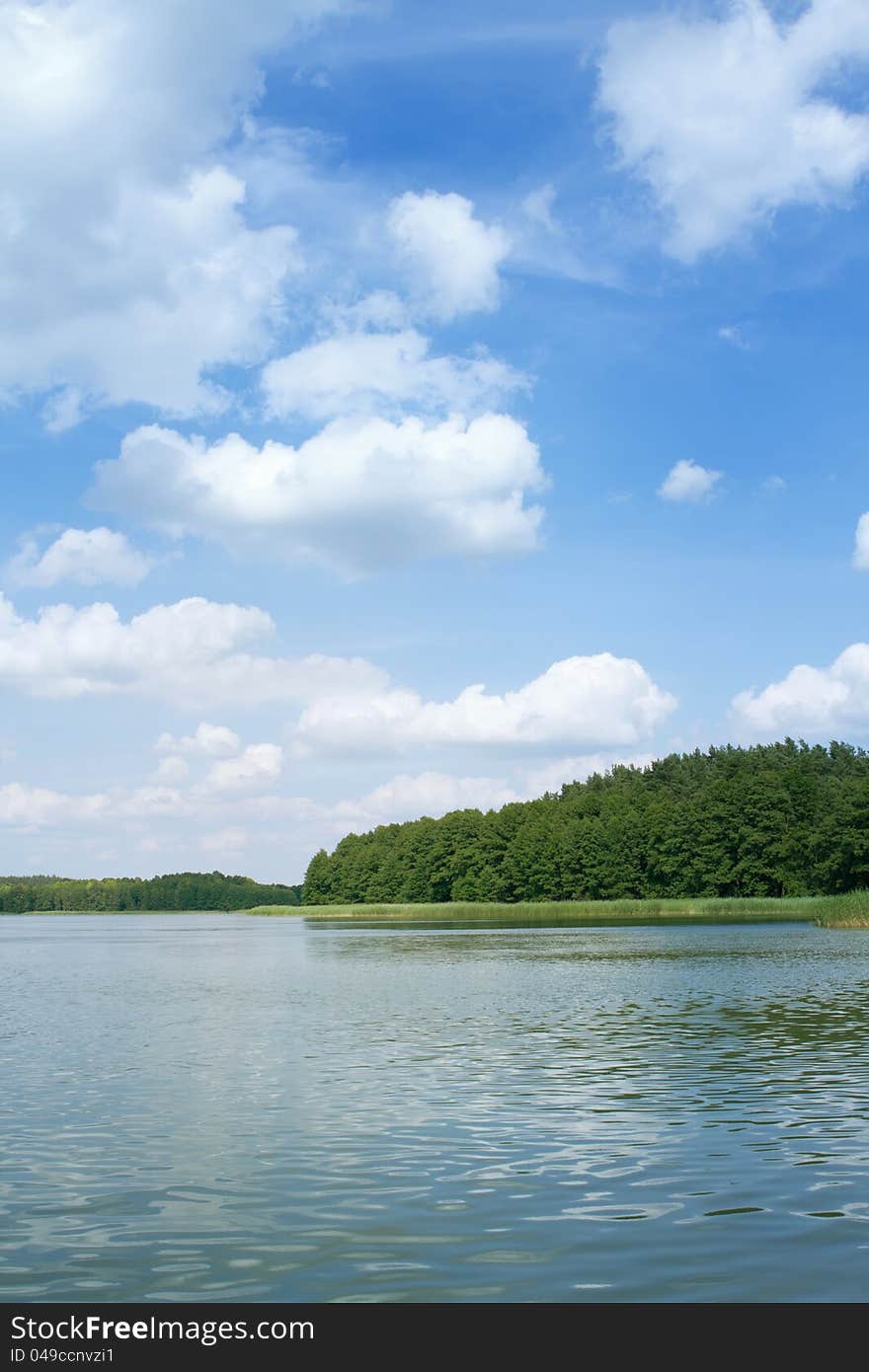 Forest and lake under cloudy sky with copy space. Forest and lake under cloudy sky with copy space