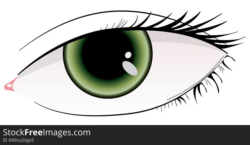 Illustration of beautiful green woman eye