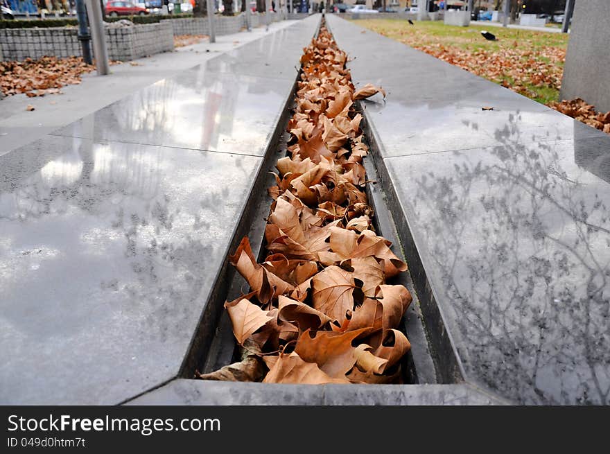 Autumn leafs in the line