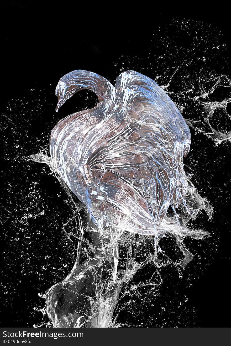 Abstract swan from water