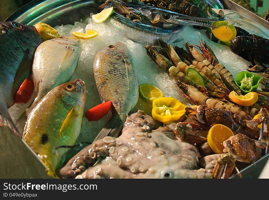 Wide range of seafood from the Red Sea on ice