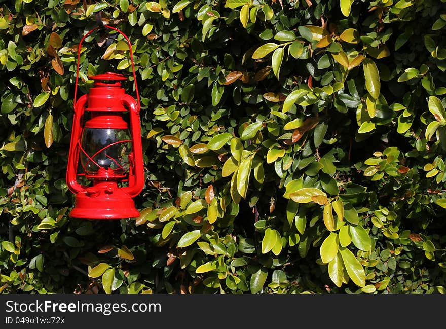 Vintage Red Rail Road Lantern Against Green Leaves