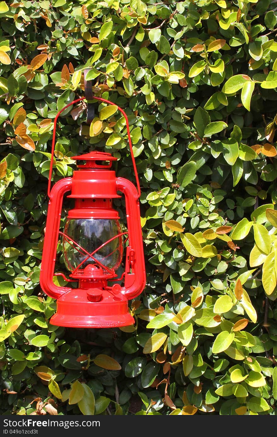 Vintage Red Rail Road Lantern Against Green Leaves