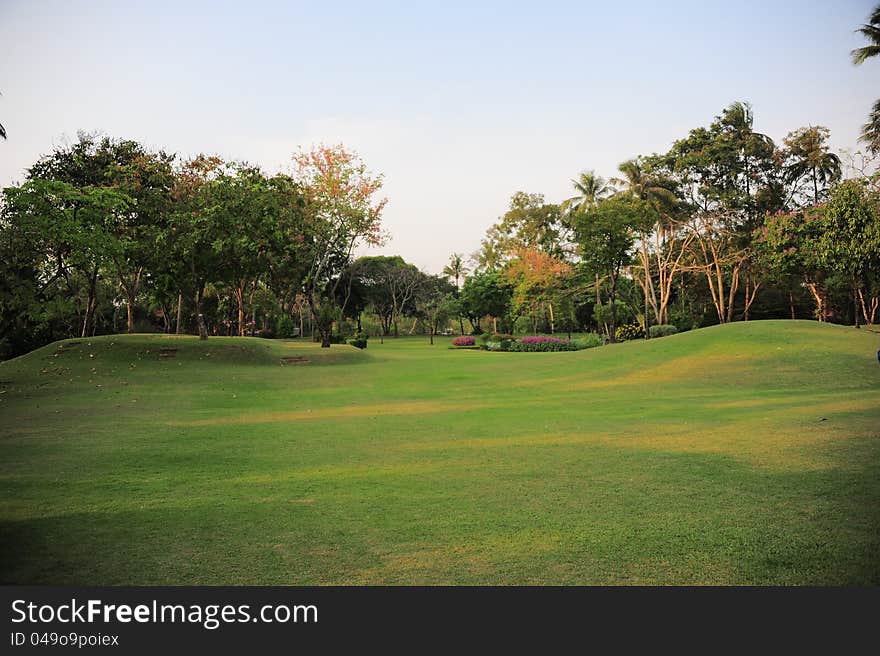 Tropical Landscape