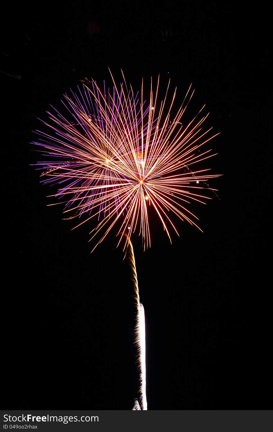 Colorful fireworks on the black sky background