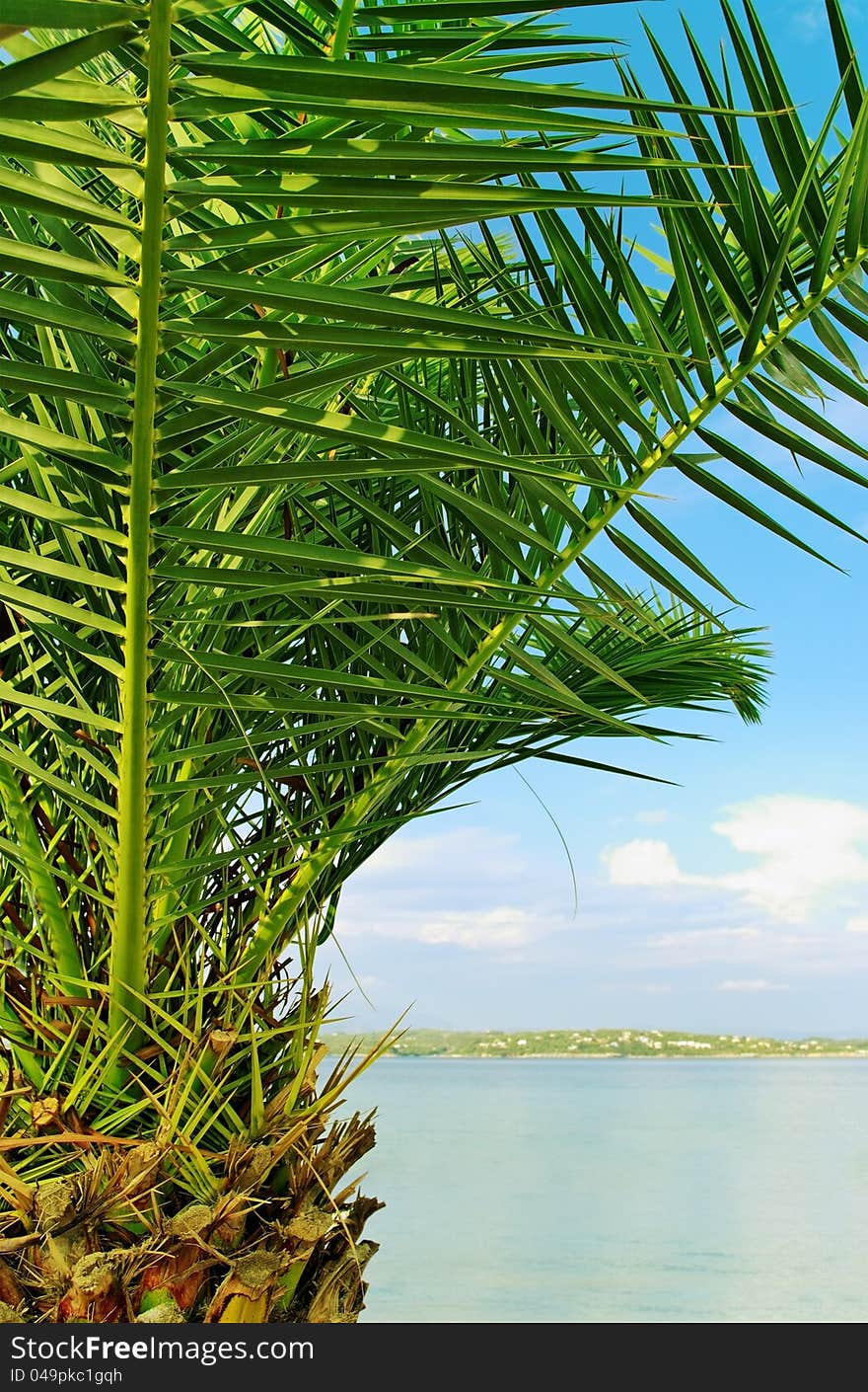 View from coast to the sea. View from coast to the sea.