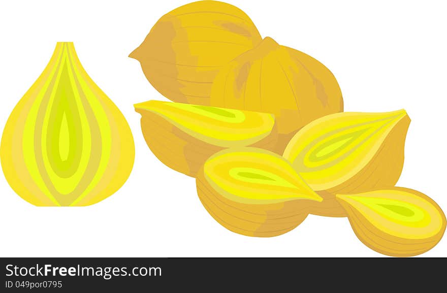 Illustration of yellow onions with halves