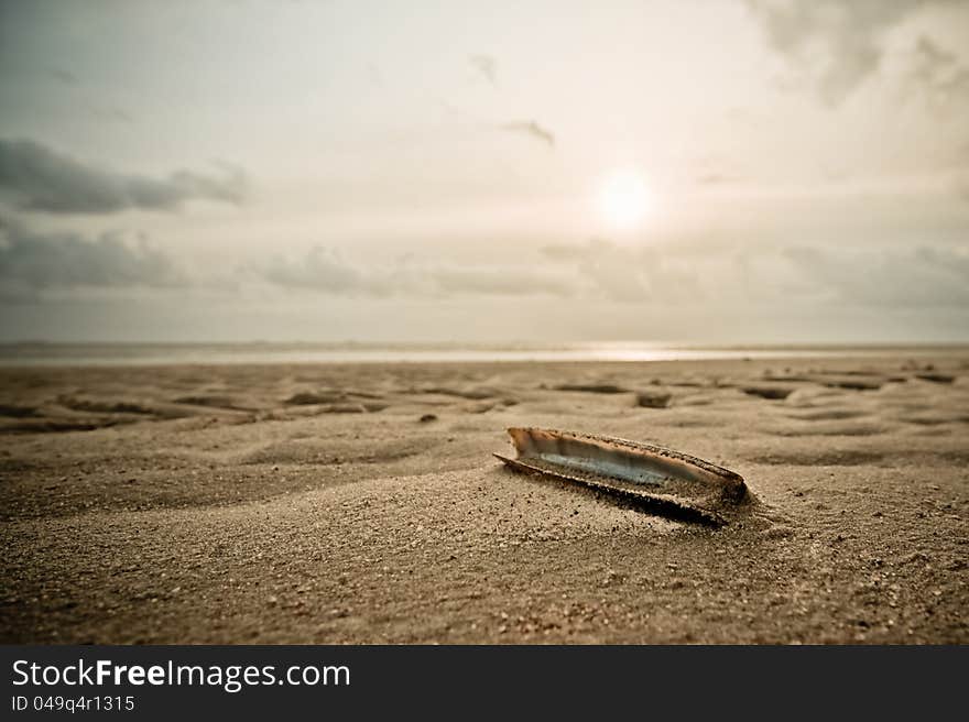 A shell lies on a beach while the sun shines in a diffused light. A shell lies on a beach while the sun shines in a diffused light