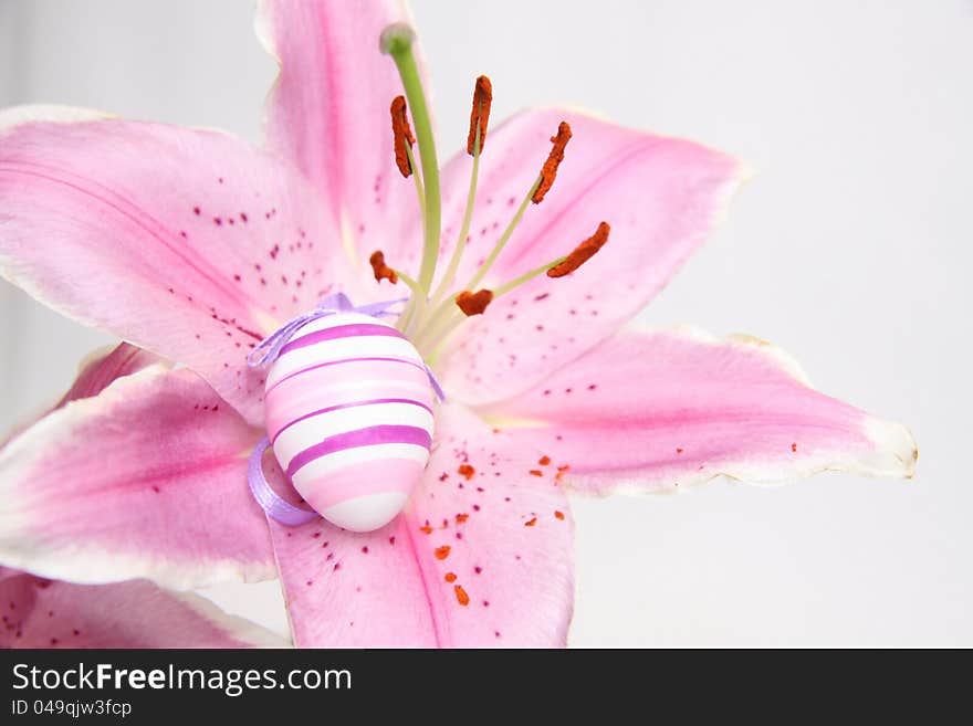 Easter egg in lily flower basket on white background. Easter egg in lily flower basket on white background