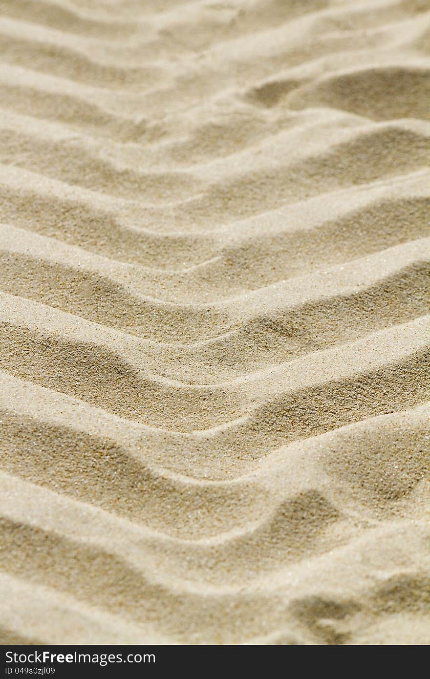 View of tire track markings on the beach sand.