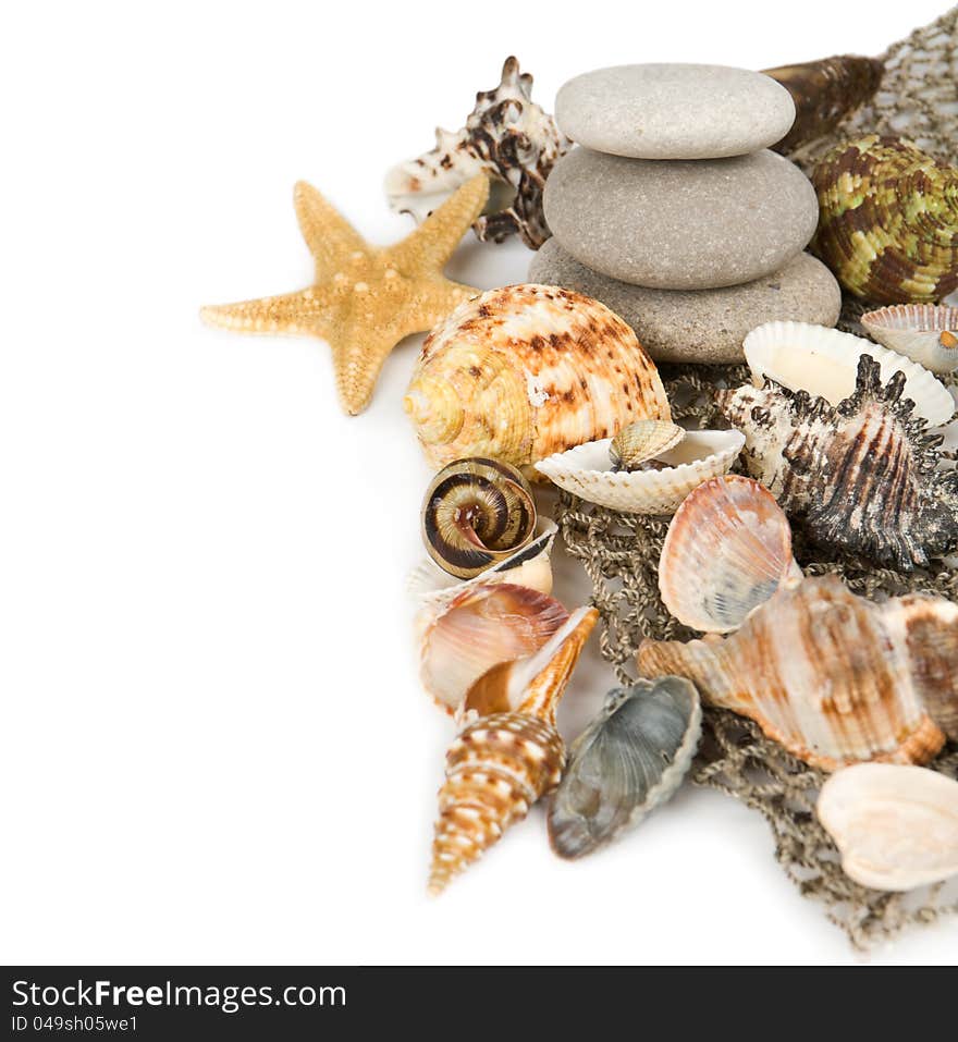 Cockleshells,marine stones and starfish