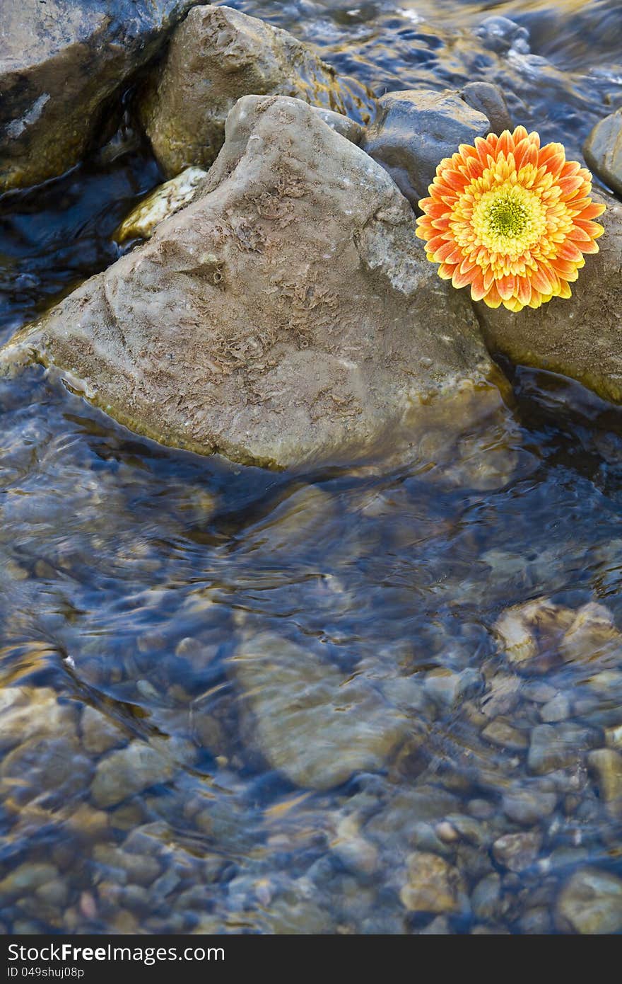 Close view of water flowing on a river mountain. Close view of water flowing on a river mountain.