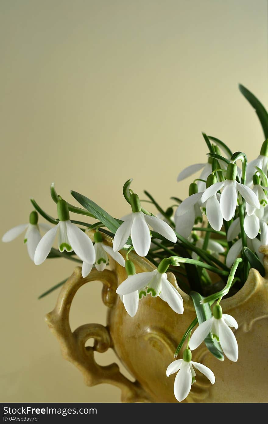 Snowdrops in a retro vase