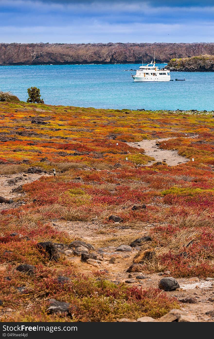 Typical view of the colorful sesuvian growing on South Plaza Island, Galapagos, Ecuador and the visitors trail with black and white trail markers. A boat is waiting for tourists to come back from hiking on the island. In the background, North Plaza Island. Typical view of the colorful sesuvian growing on South Plaza Island, Galapagos, Ecuador and the visitors trail with black and white trail markers. A boat is waiting for tourists to come back from hiking on the island. In the background, North Plaza Island.