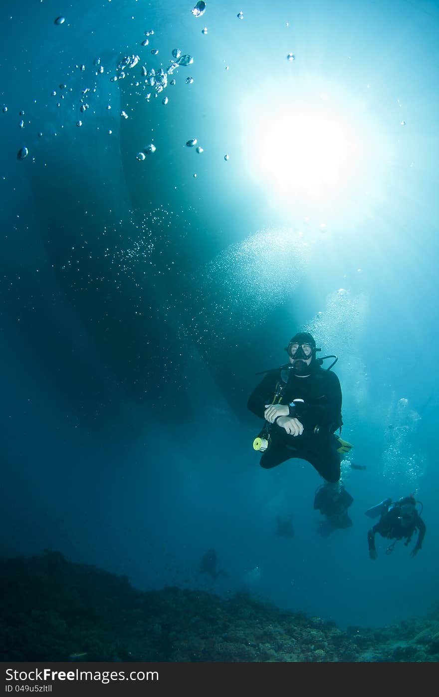 Scuba divers over coral reef