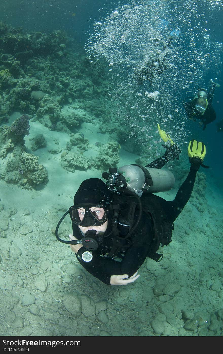 Scuba divers swim over coral reef