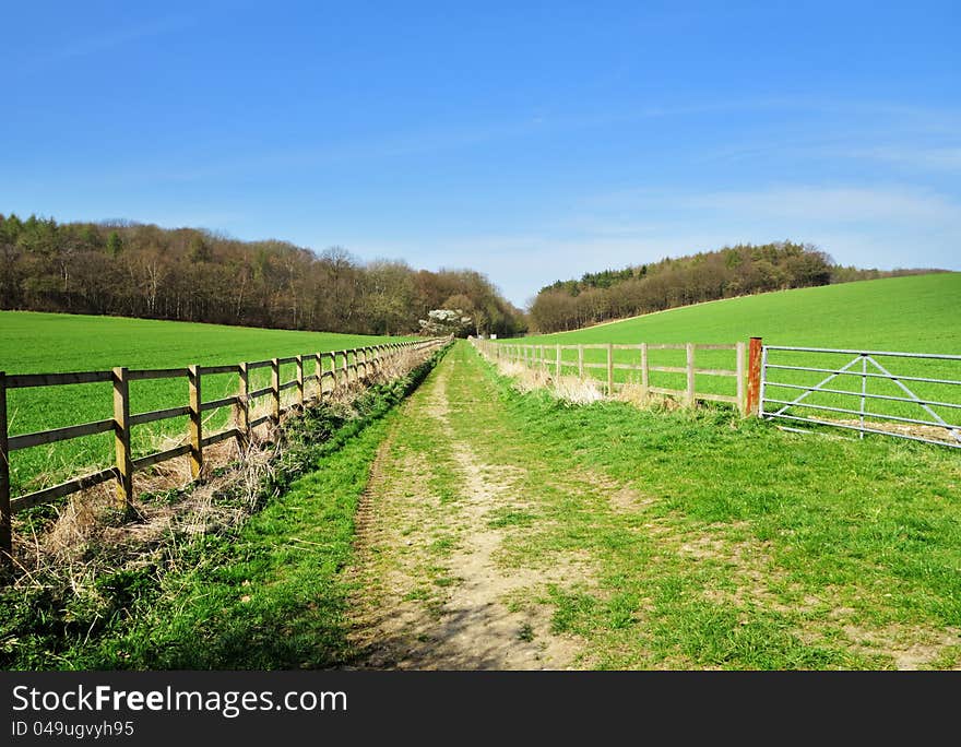 Grassy Track between fields