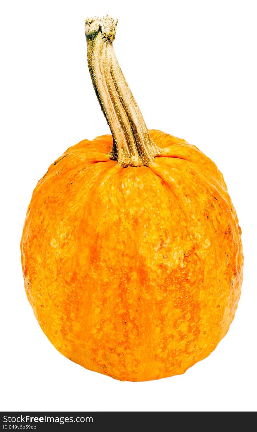 Pumpkin isolated on white background.