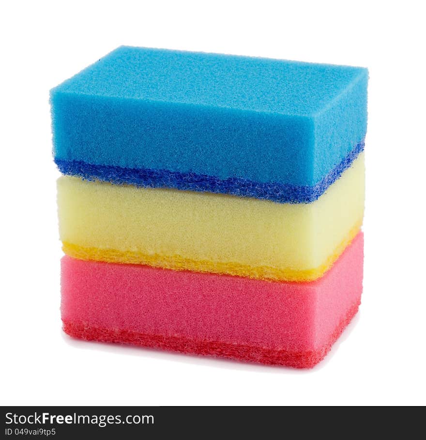 Sponges