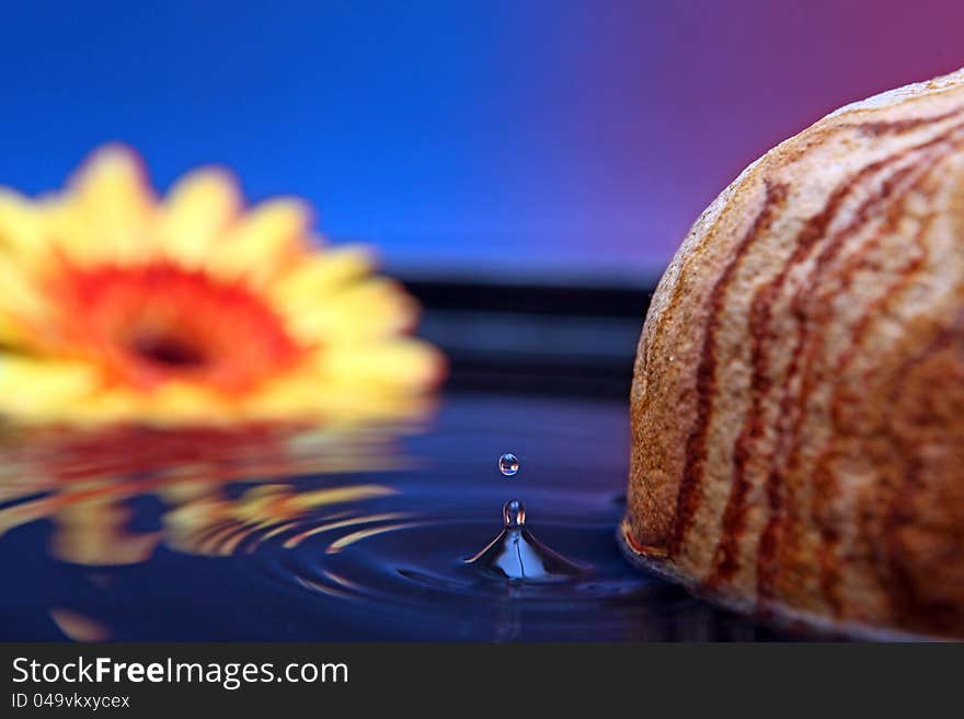 Spa style bath with natural elements color